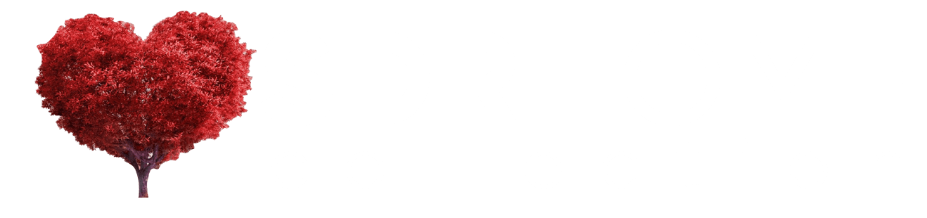 SDR Home Collection